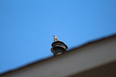 Low angle view of roof against clear blue sky