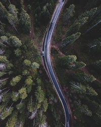 High angle view of road amidst trees kure mountains national park, turkiye.