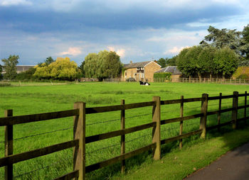 Trees and houses on field against sky