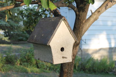 Close-up of birdhouse