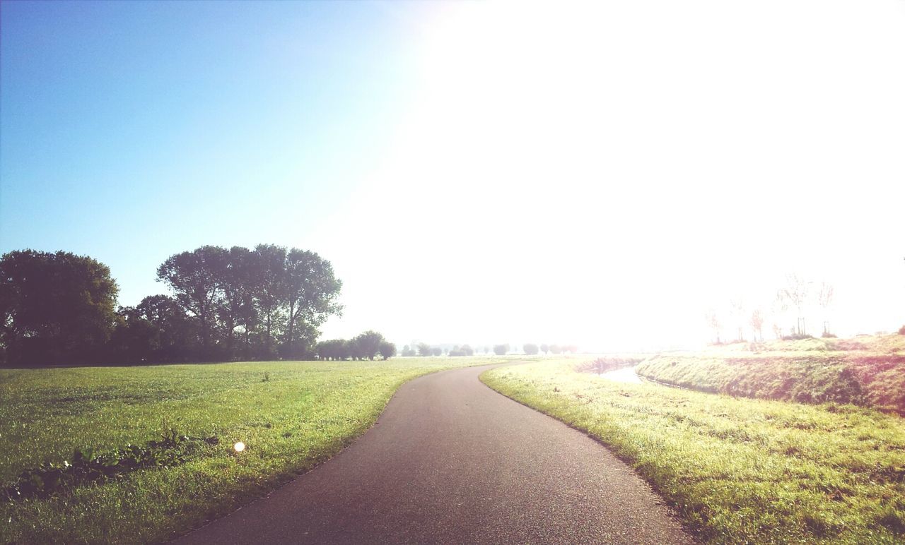 the way forward, tranquility, clear sky, tree, diminishing perspective, tranquil scene, road, vanishing point, landscape, grass, field, nature, country road, beauty in nature, scenics, dirt road, empty road, transportation, growth, sunlight