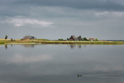 Birds on lake against sky