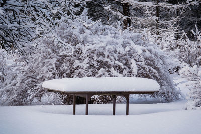 Snow covered field by trees