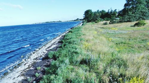 Scenic view of sea against clear blue sky