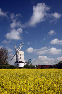 Scenic view of oilseed rape field against sky