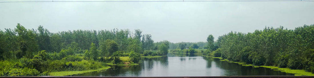 Panoramic view of river amidst trees in forest against clear sky