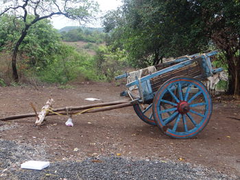 Ox cart on field