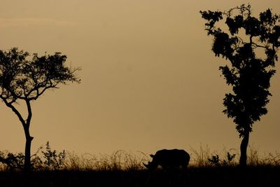 Silhouette of horse grazing on field against clear sky