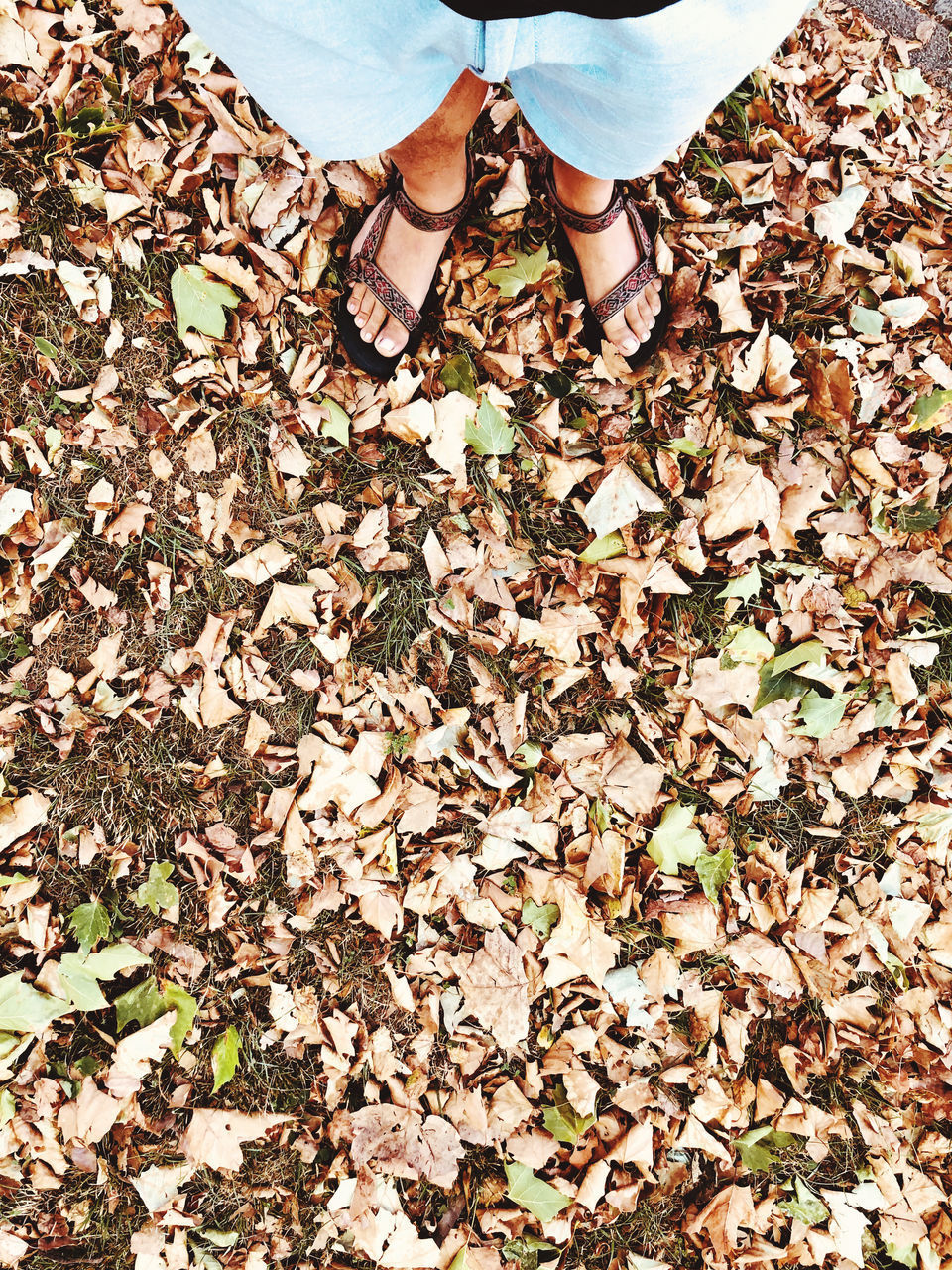 LOW SECTION OF PERSON STANDING BY DRY LEAVES ON LAND
