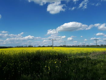 Scenic view of field against sky