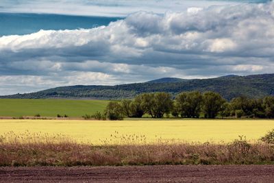 Scenic view of field against sky