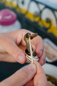 Close-up of human hand holding food