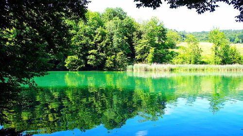 Reflection of trees in lake against sky