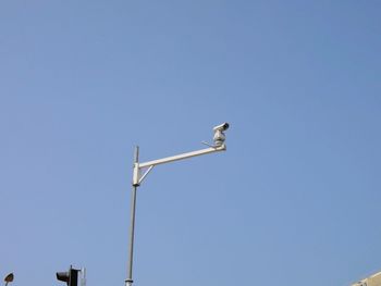 Low angle view of bird perching against clear blue sky