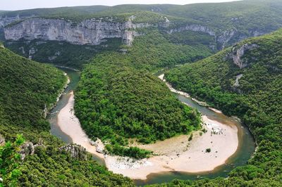 High angle view of trees on landscape