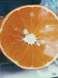 Close-up of orange slices