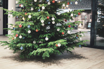 View of christmas tree