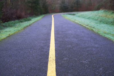 Surface level of empty road along trees