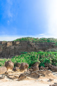 Trees by water against sky