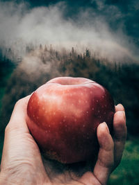 Close-up of hand holding apple