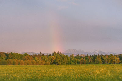 Scenic view of field against sky
