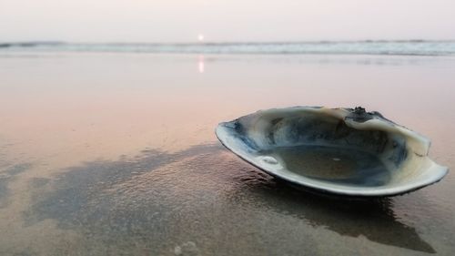 Close-up of crab on beach against sky