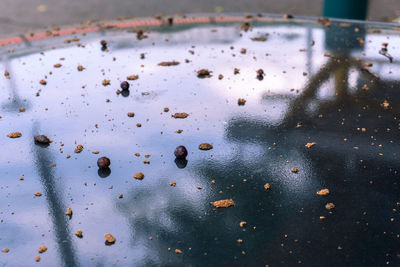 High angle view of wet glass on table