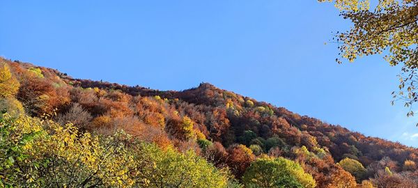 Low angle view of mountain against clear blue sky