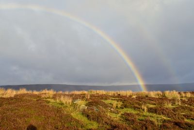 Scenic view of rainbow over field against sky