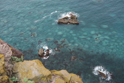 High angle view of rock and sea