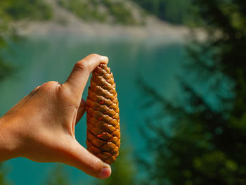 Cropped hand of woman holding plant