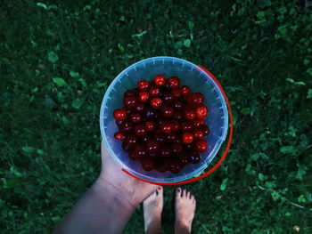 Low section of woman holding cherries in bowl