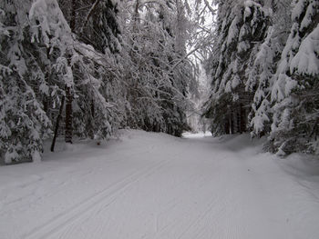 Scenic view of snow covered landscape