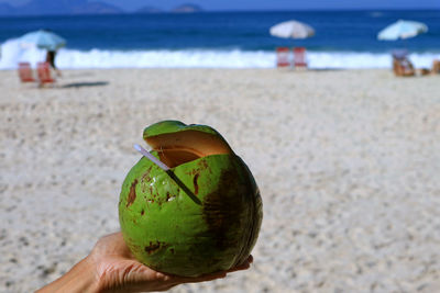 Cropped image of hand holding fruit on beach