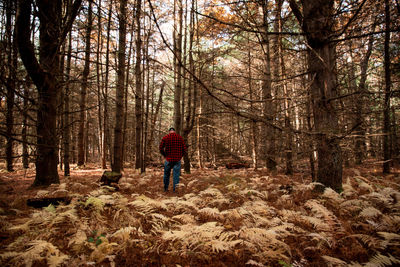 Rear view of man walking in forest during winter