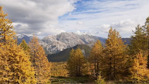 Trees on landscape against sky during autumn