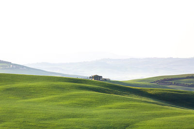A view of green hilly tuscan field with the typical  farm house