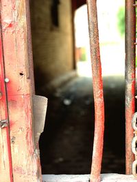 Close-up of rusty metal railing