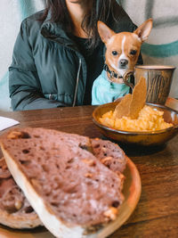 Low view of a dog with breakfast serve on table 