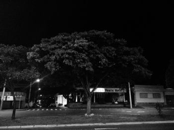 Illuminated trees against sky at night