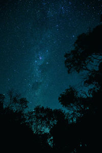 Low angle view of silhouette trees against sky at night