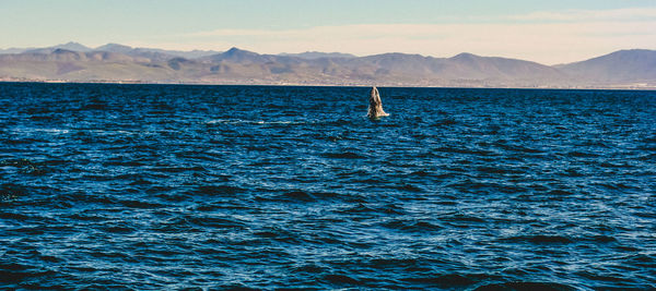 Scenic view of sea against mountains