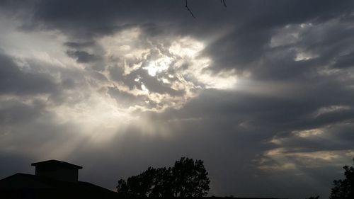 Low angle view of trees against cloudy sky