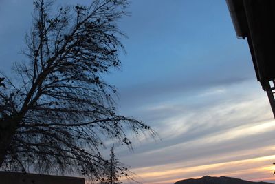 Low angle view of silhouette bare tree against sky at sunset