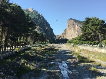 Scenic view of river amidst trees against sky