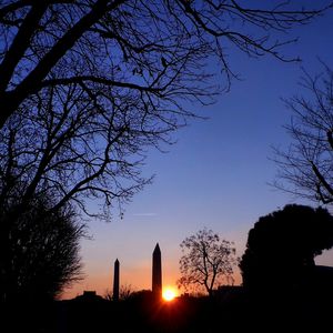 Silhouette of bare trees at sunset
