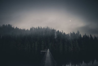 Panoramic view of trees in forest against sky