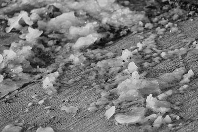 Close-up of snow on beach