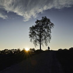 Silhouette tree on field against sky at sunset