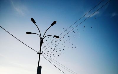 Low angle view of birds perching on power line